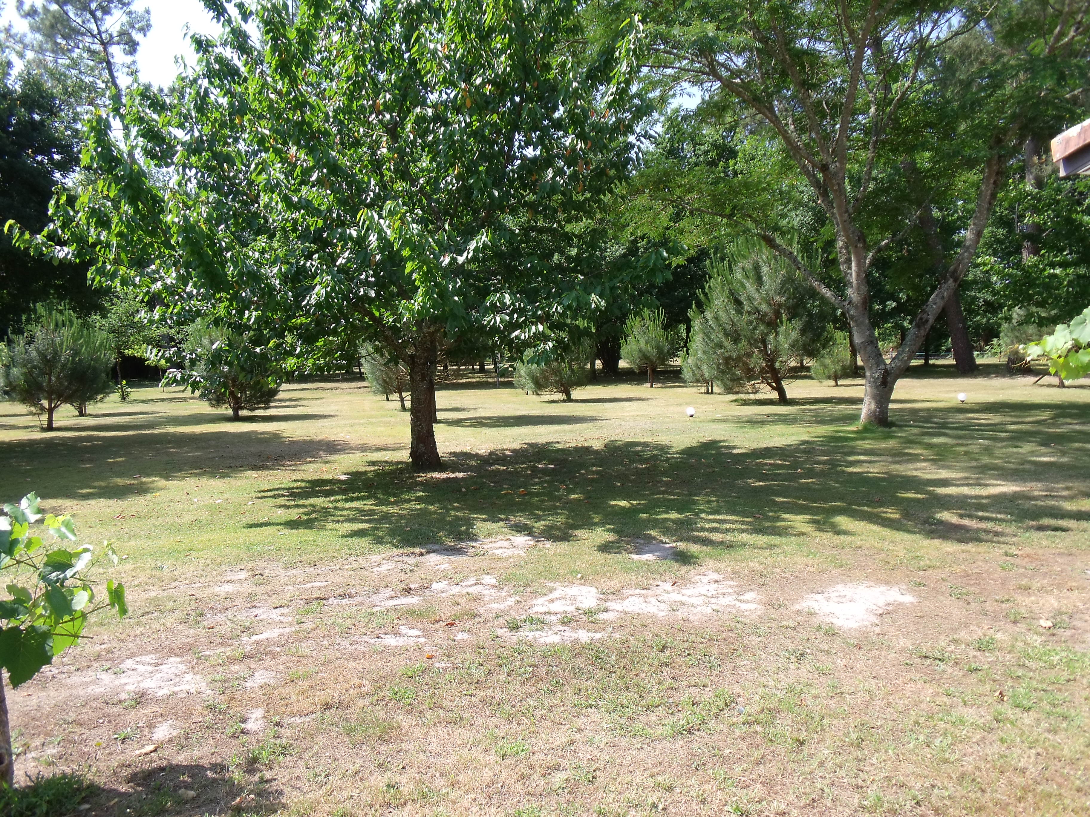 Larrieu Marc - photo 3