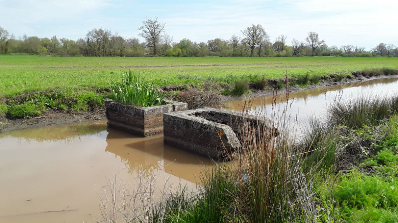 La ronde des marais, Ludon-Médoc - photo 6