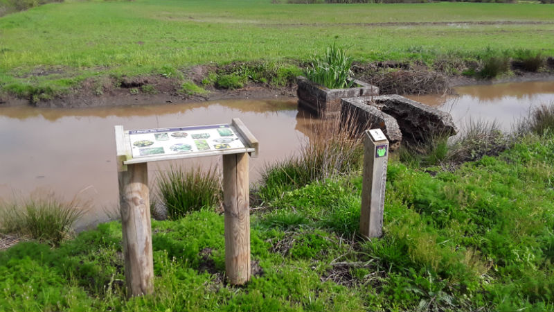 La ronde des marais, Ludon-Médoc - photo 7
