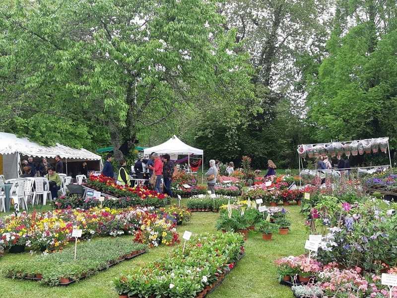Les Floralies de Garein - photo 2