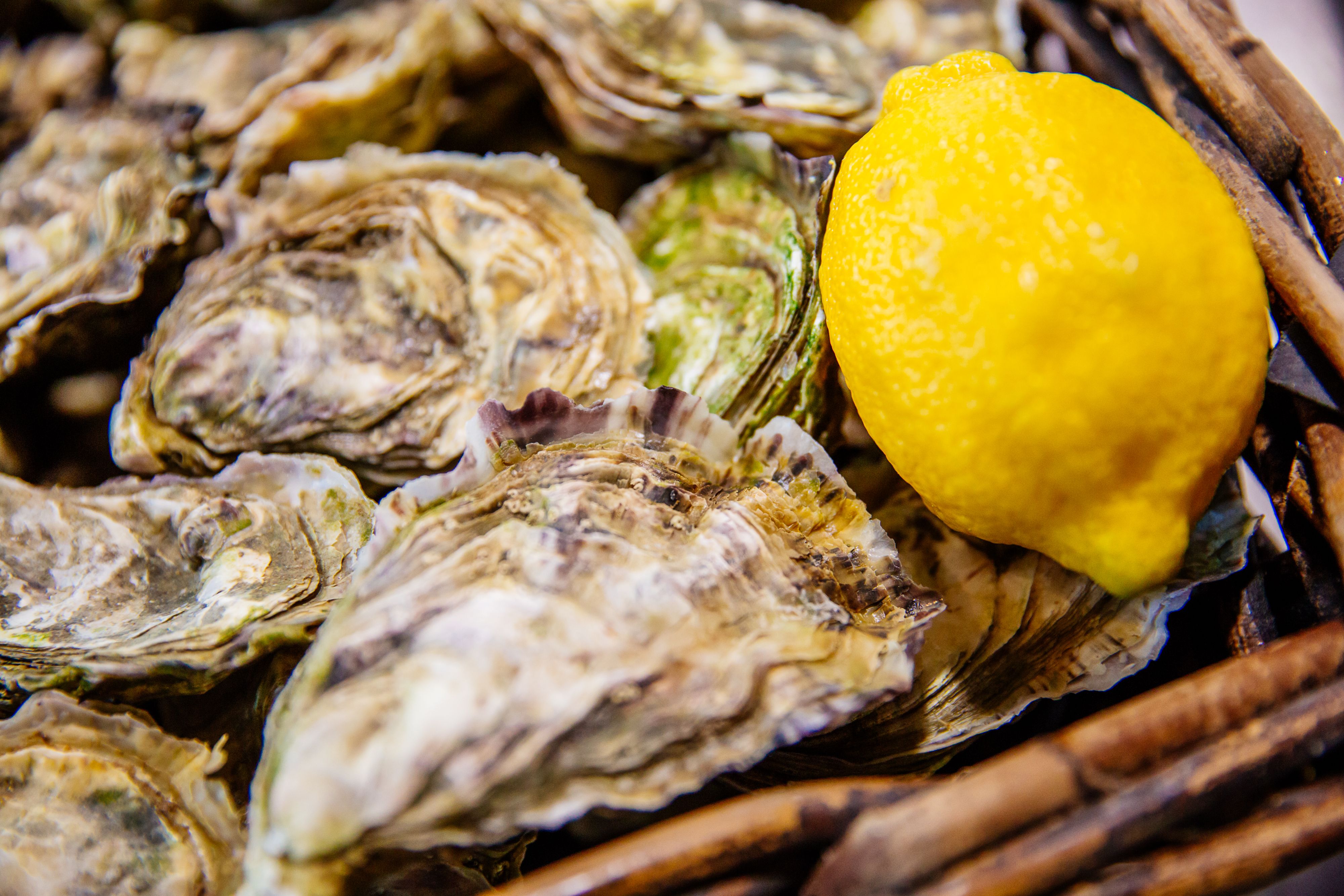 Cap Gourmand - Food tours, expériences & team building