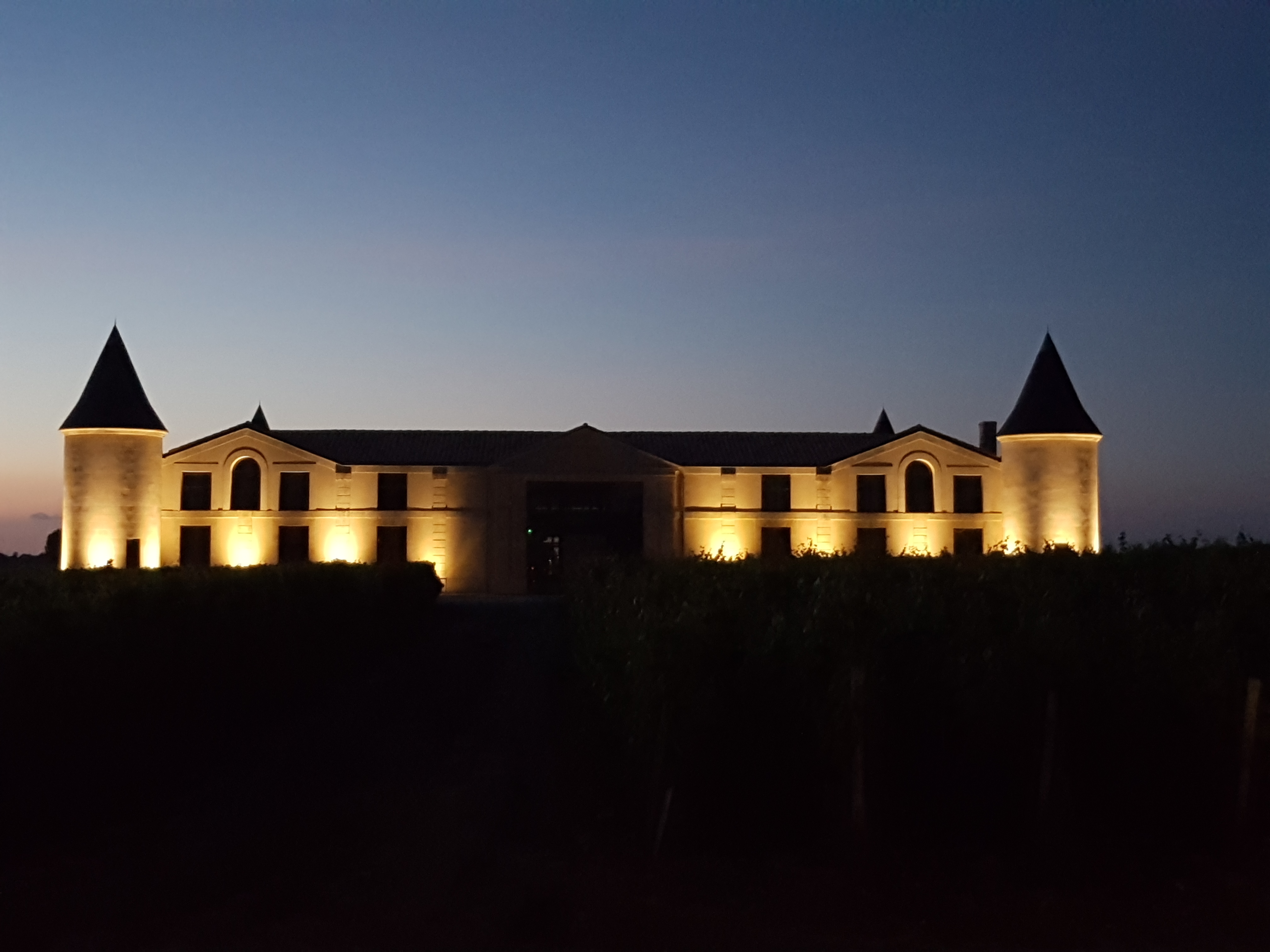 Château Tour Saint-Fort — photo 2