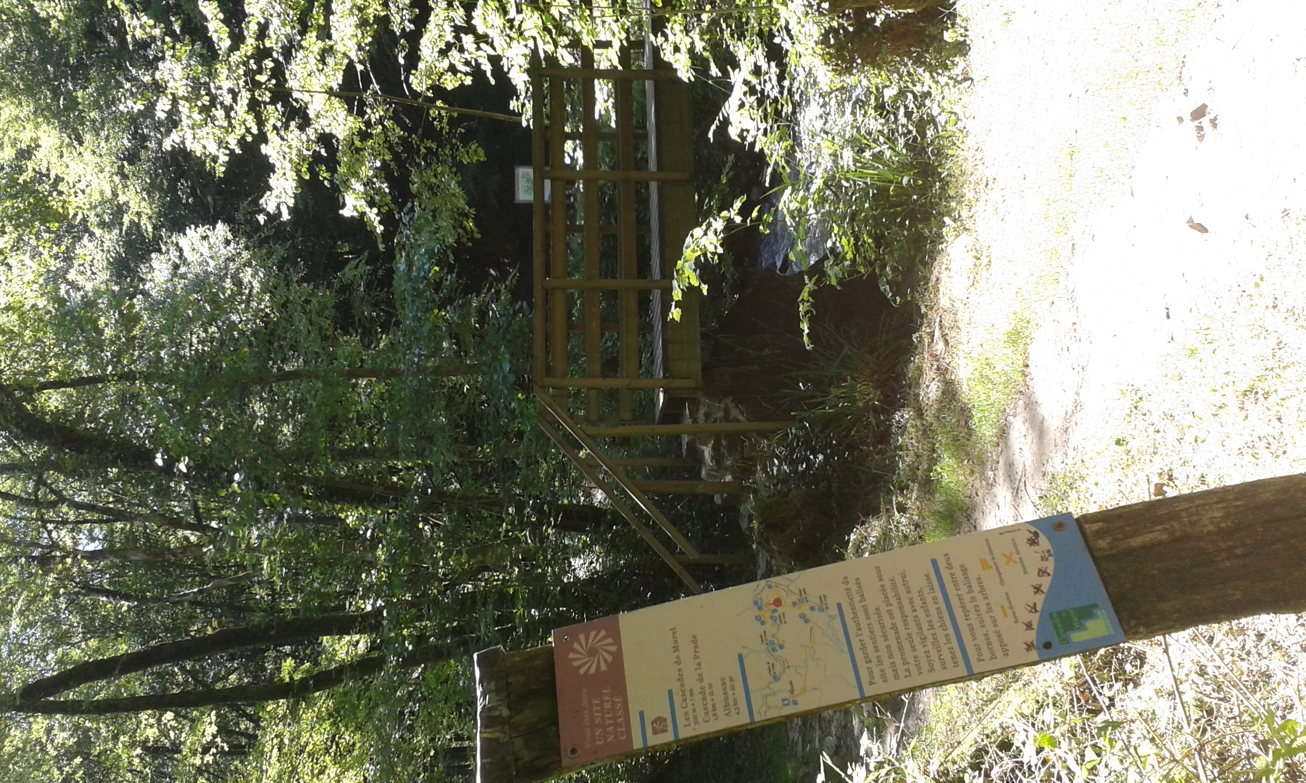 Les Murels — photo 3