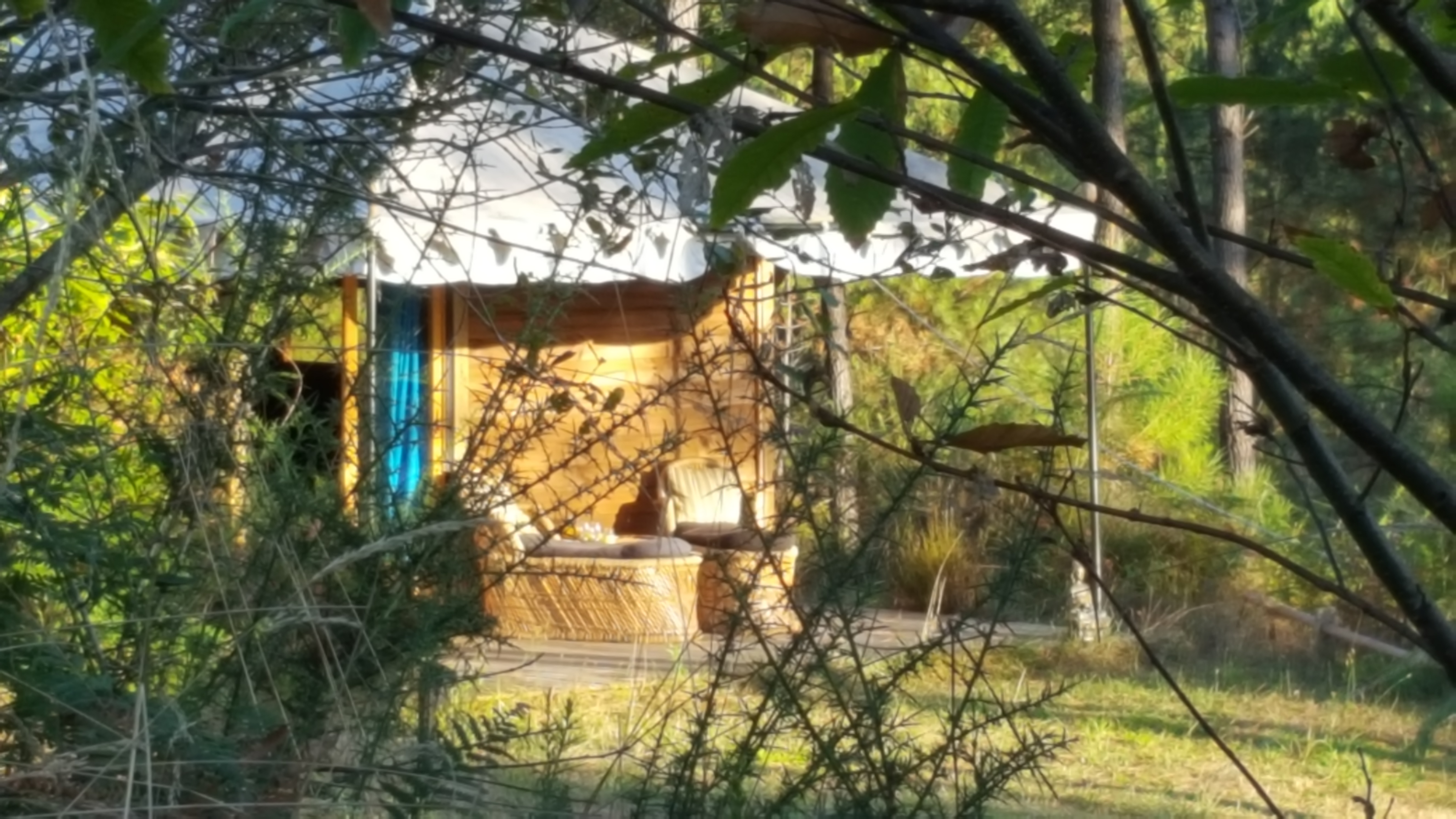 Palika Lodge, Castets - photo 11