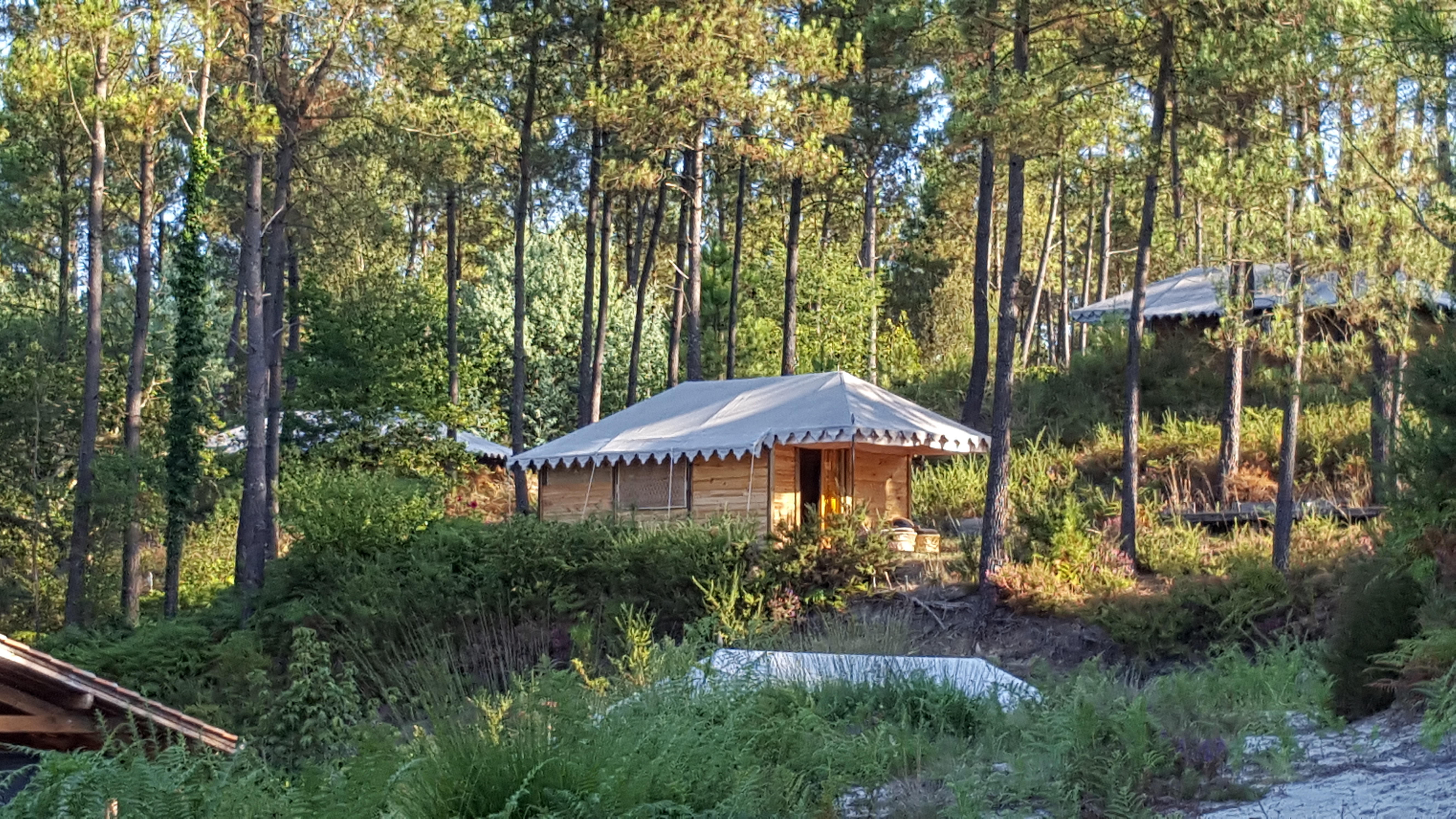 Palika Lodge, Castets - photo 3