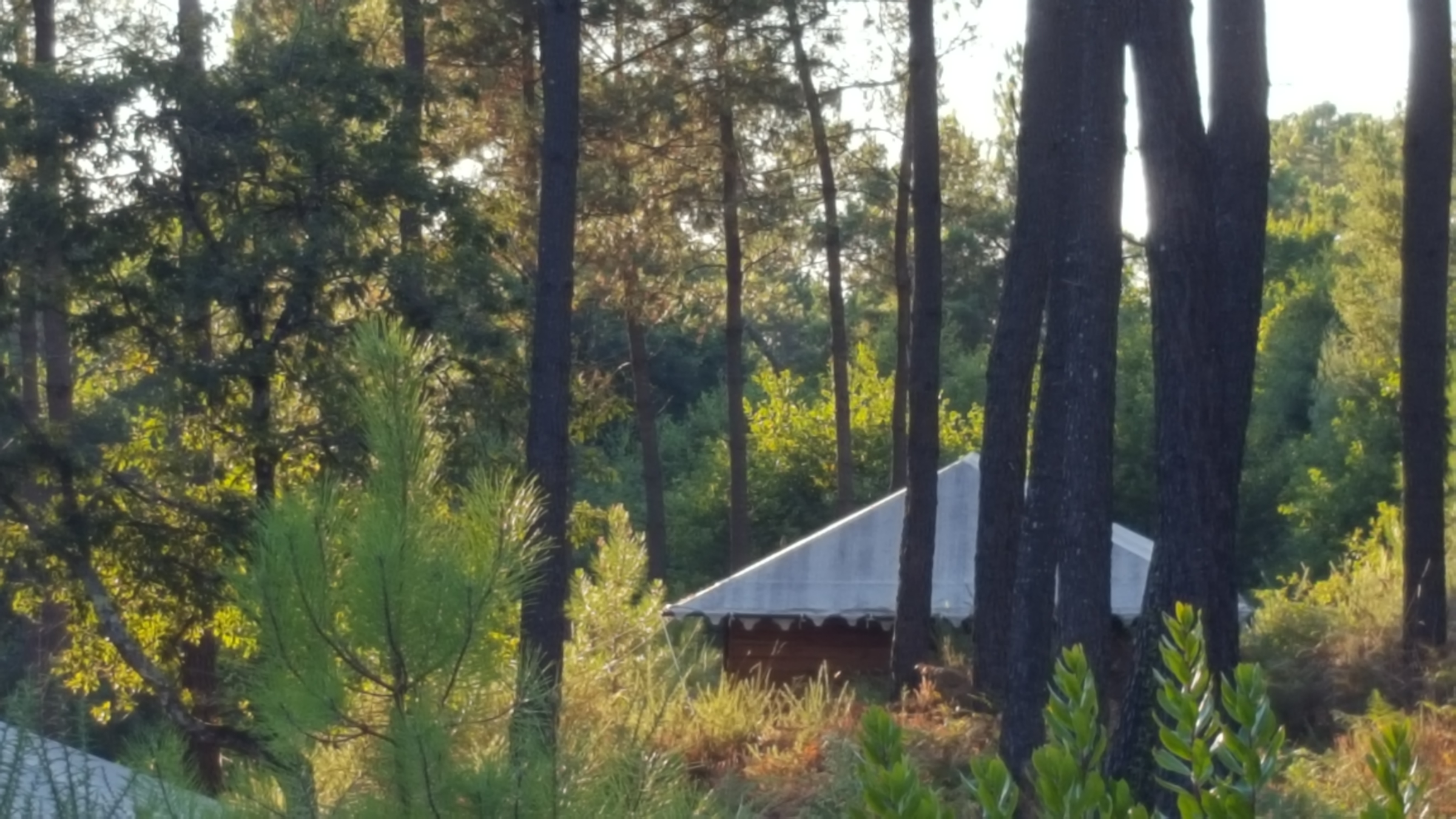 Palika Lodge, Castets - photo 6