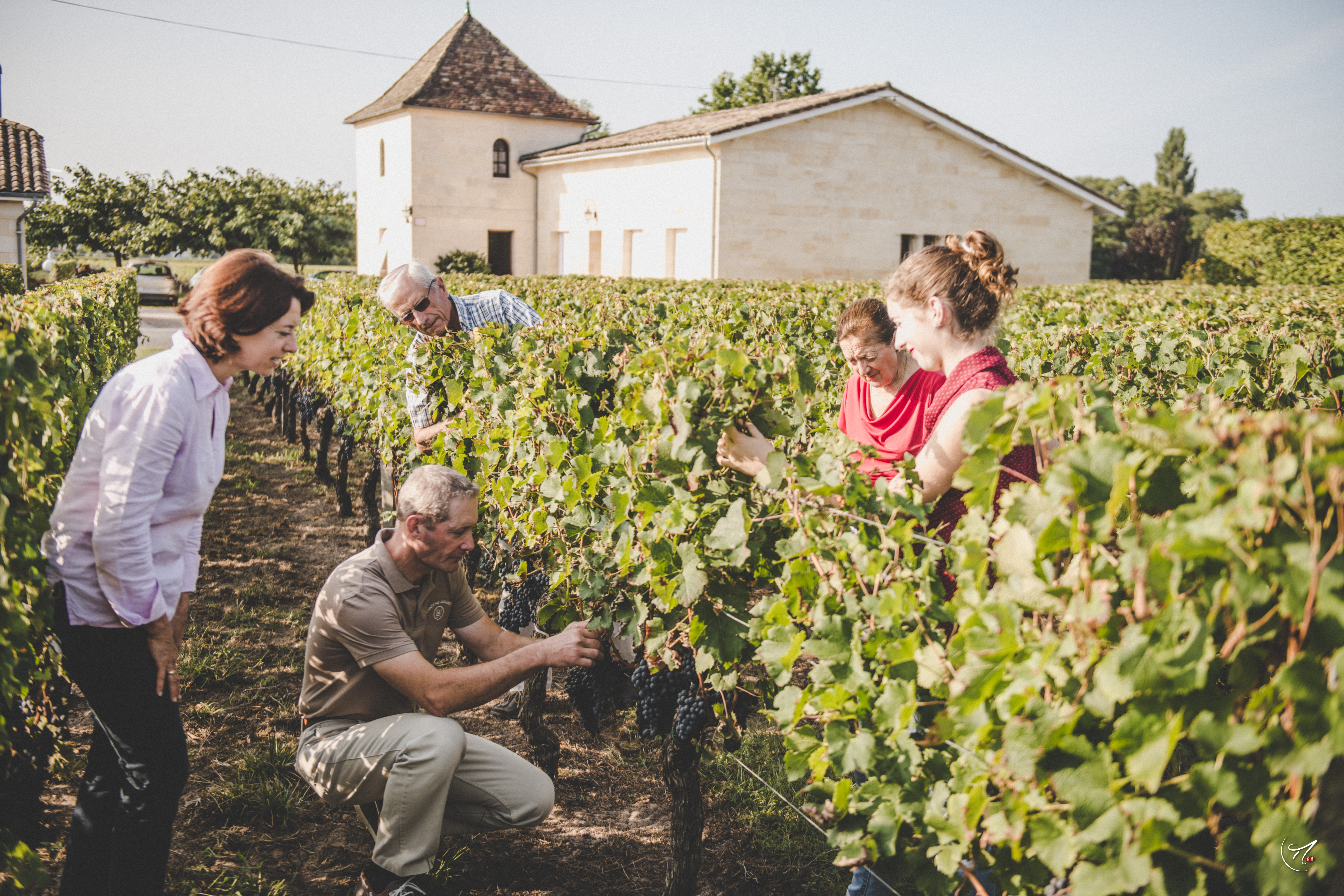 Château Juguet - photo 5