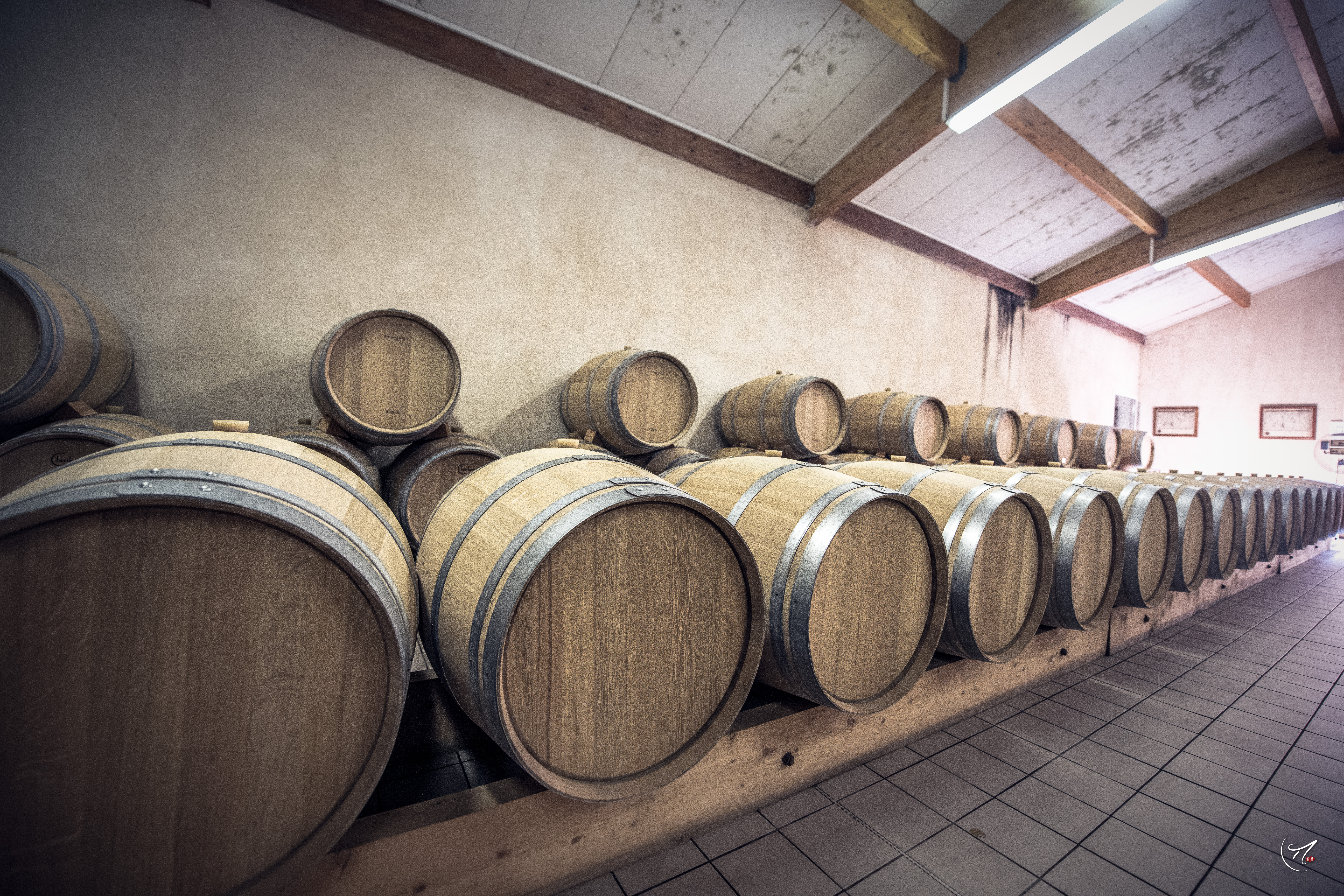 Château Juguet - photo 3