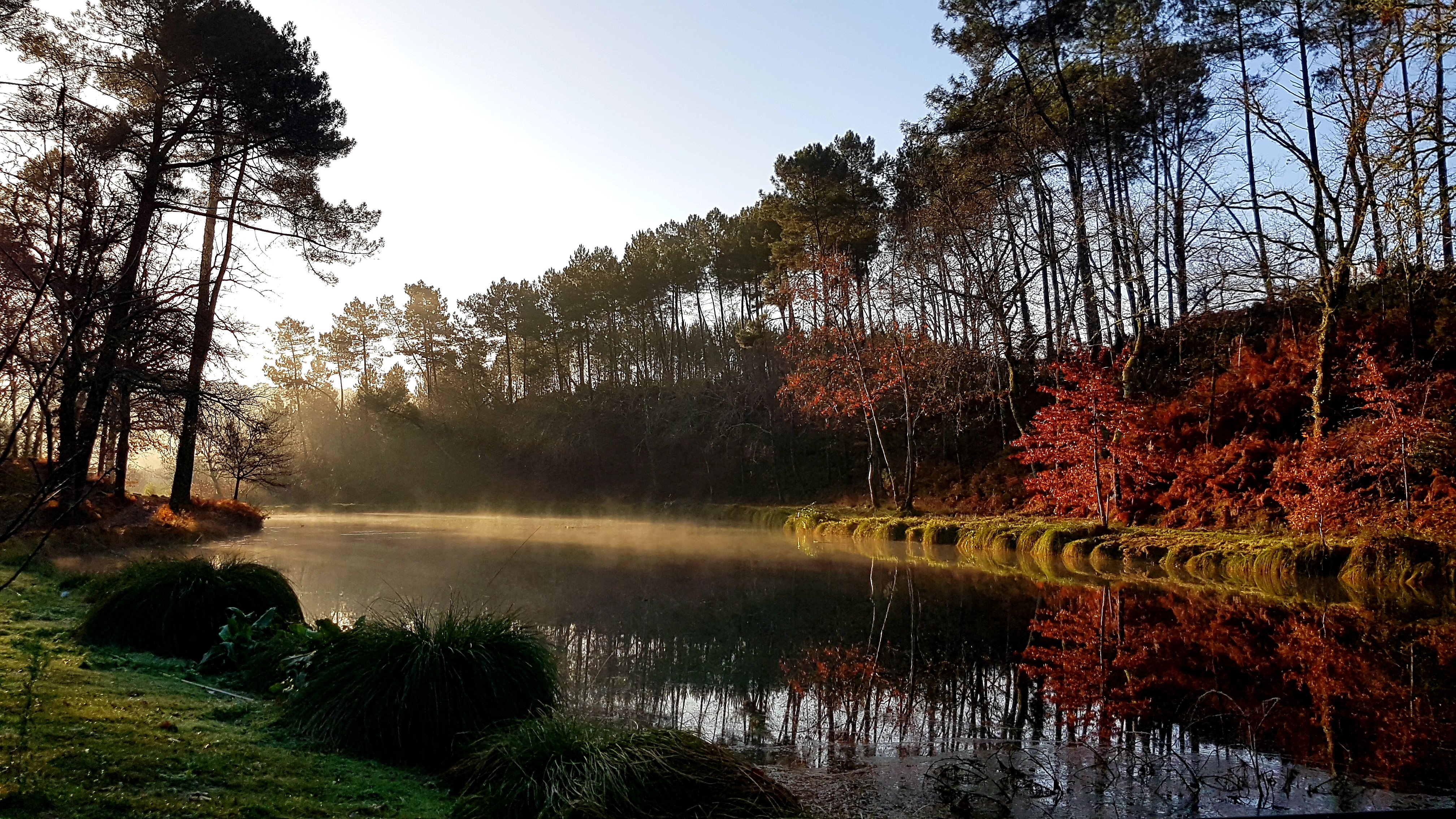 Palika Lodge, Castets - photo 2