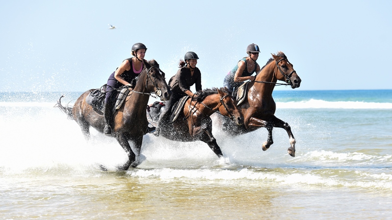 Marina - Centre équestre