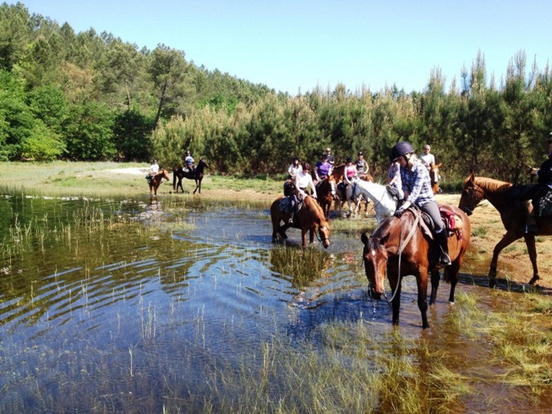 Marina - Centre équestre - photo 5