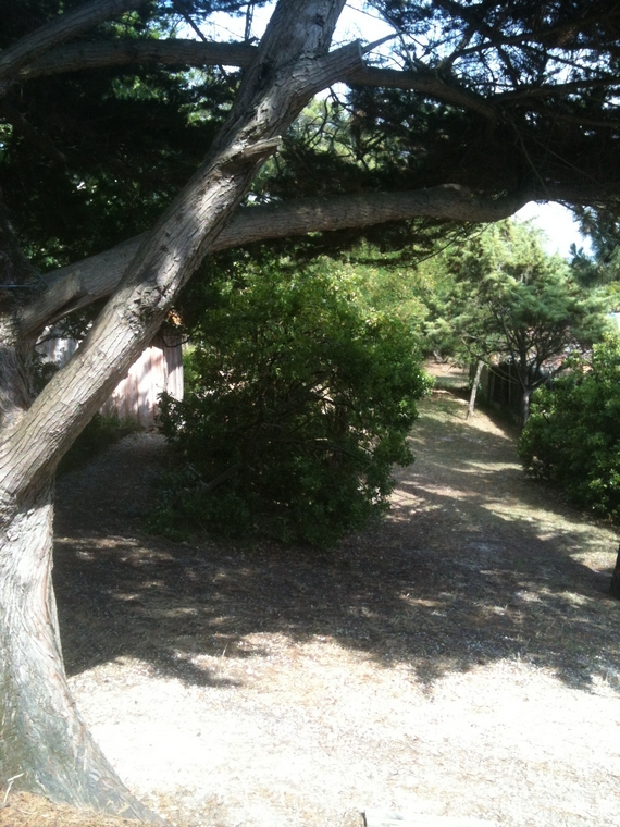 Arnaudin Francis - Villa Martha - Côté Sud, Mimizan - photo 6