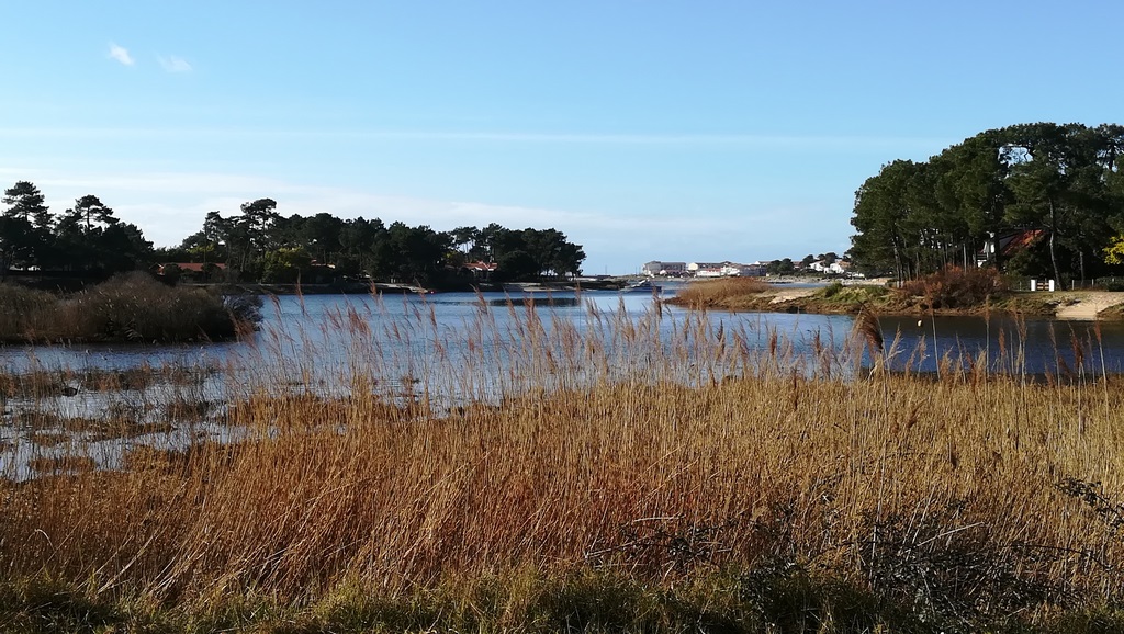 A Mimizan Plage, Sentier des Aigrettes