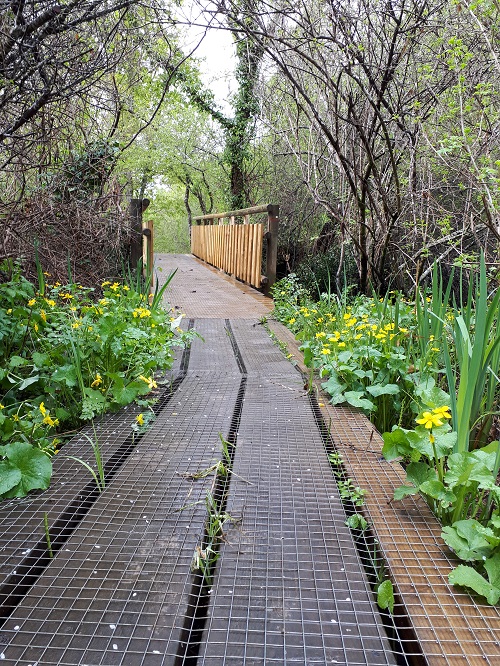 Les secrets de la petite Amazone, Le Teich - photo 3