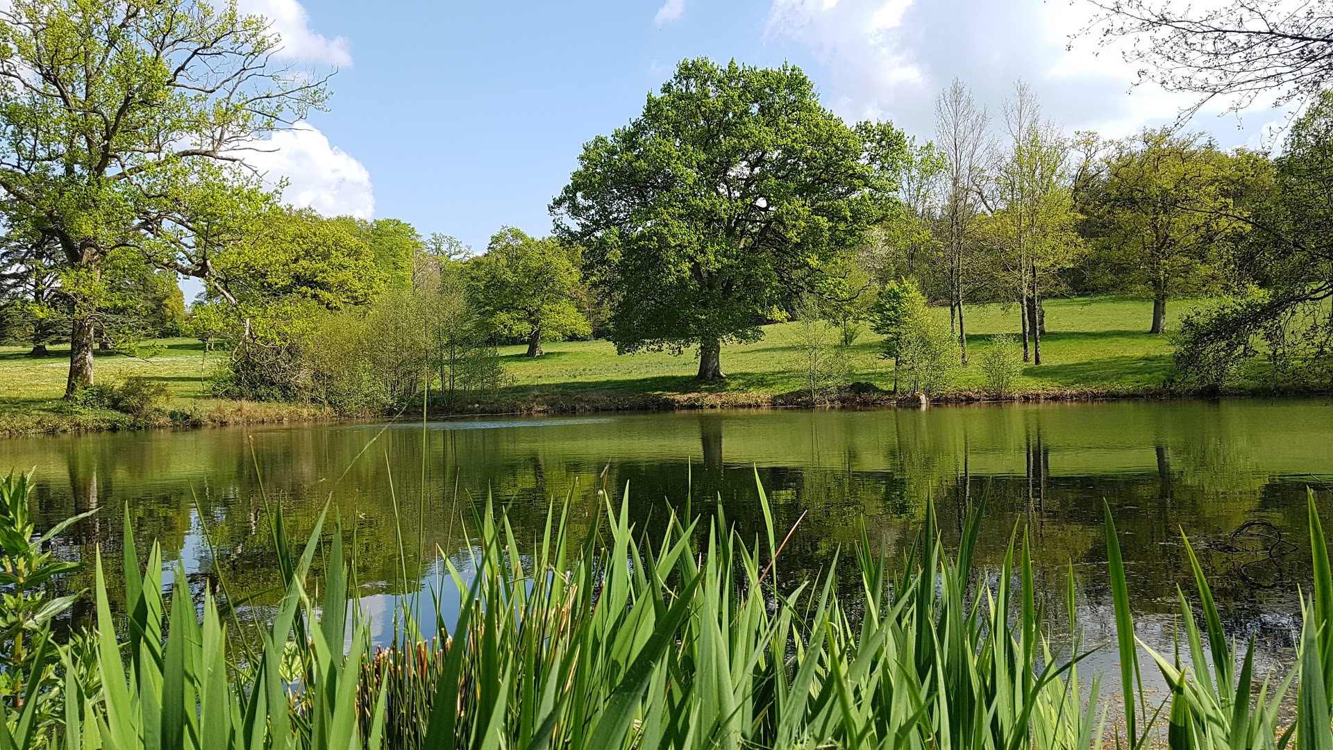 Domaine des Roches Blanches, Le Pin - photo 12