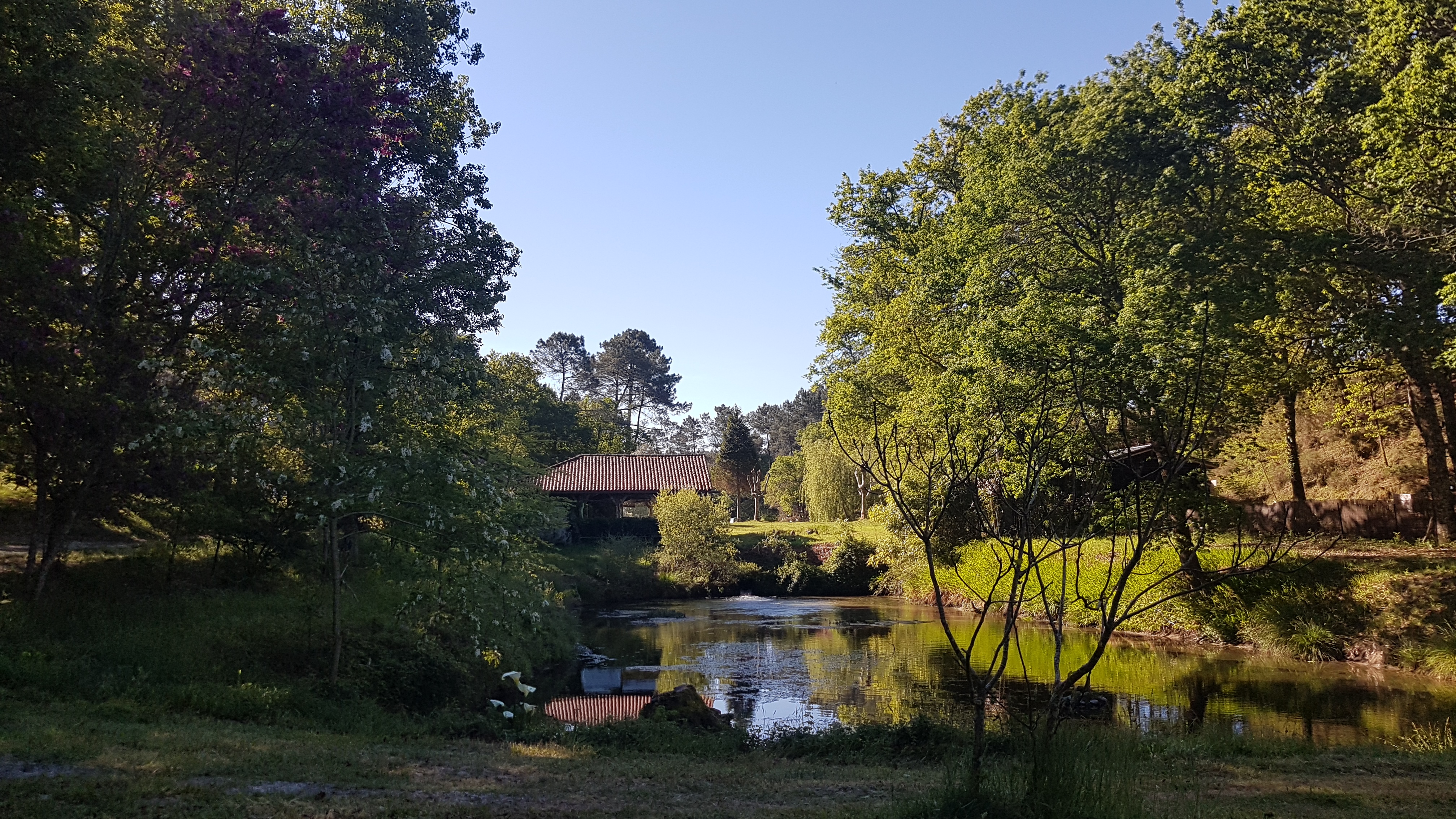 Palika Lodge, Castets - photo 10