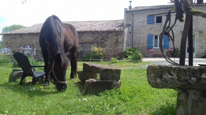 Gîte de l'Eraudière, Nanteuil - photo 8