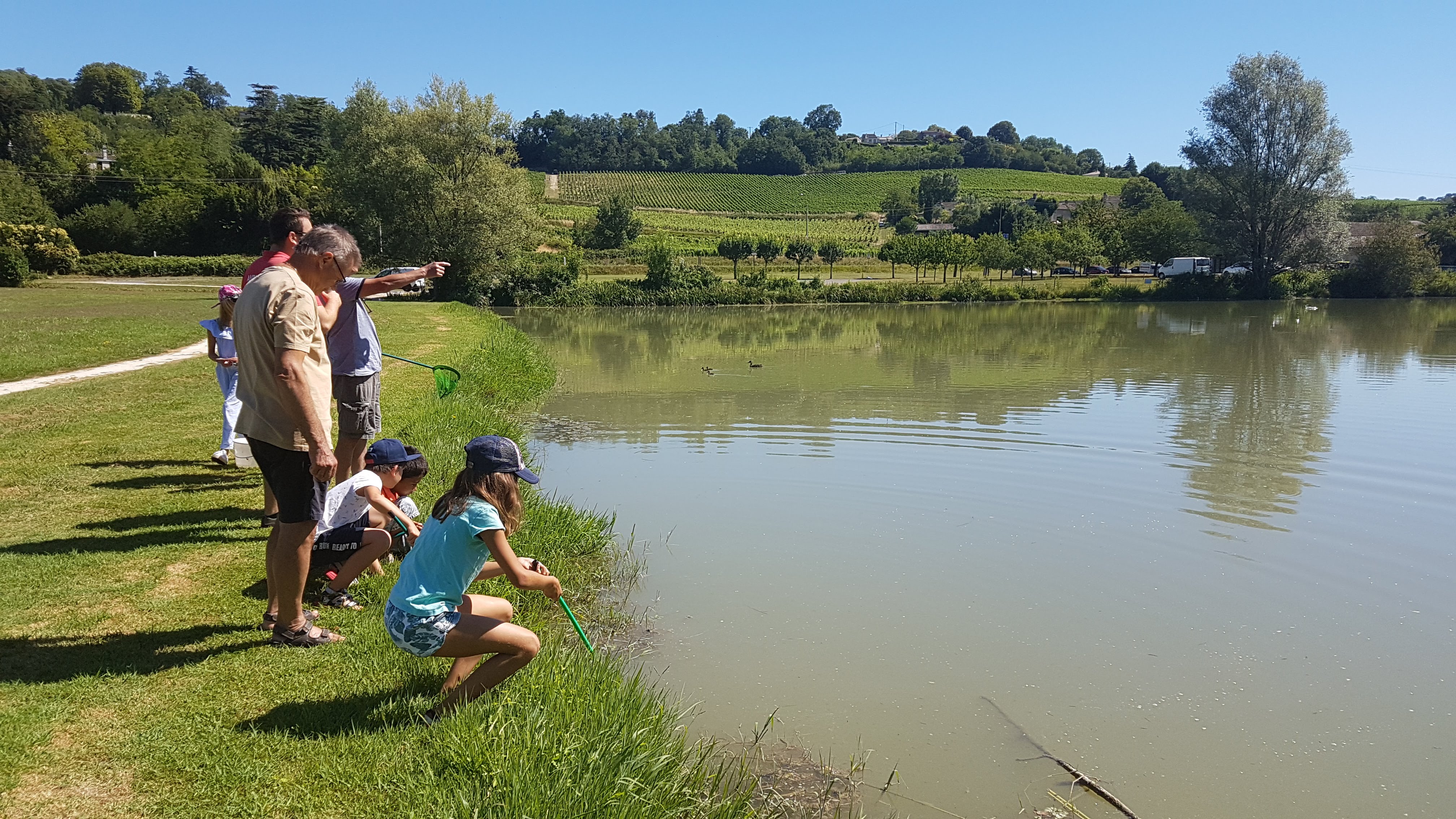 Atelier des p'tits curieux "Les petites bêtes dans l'eau"