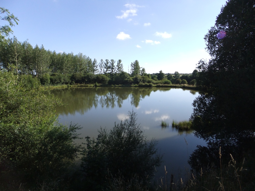 Le Gîte de l'Etang, Secondigny - photo 9