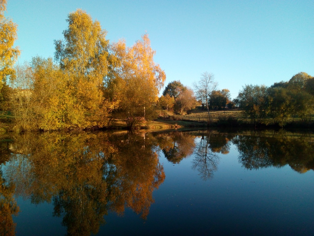 Le Gîte de l'Etang, Secondigny - photo 13