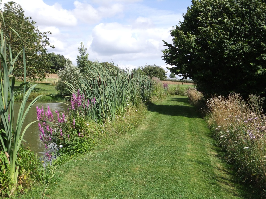 Le Gîte de l'Etang, Secondigny - photo 15