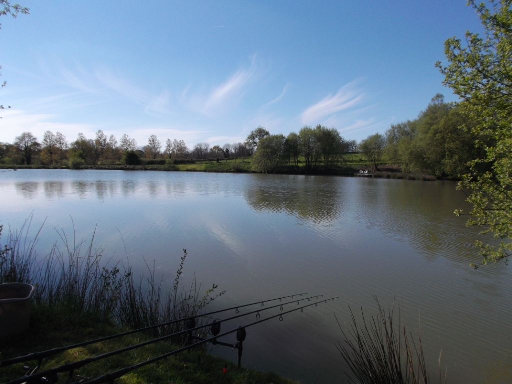 Le Gîte de l'Etang, Secondigny - photo 19