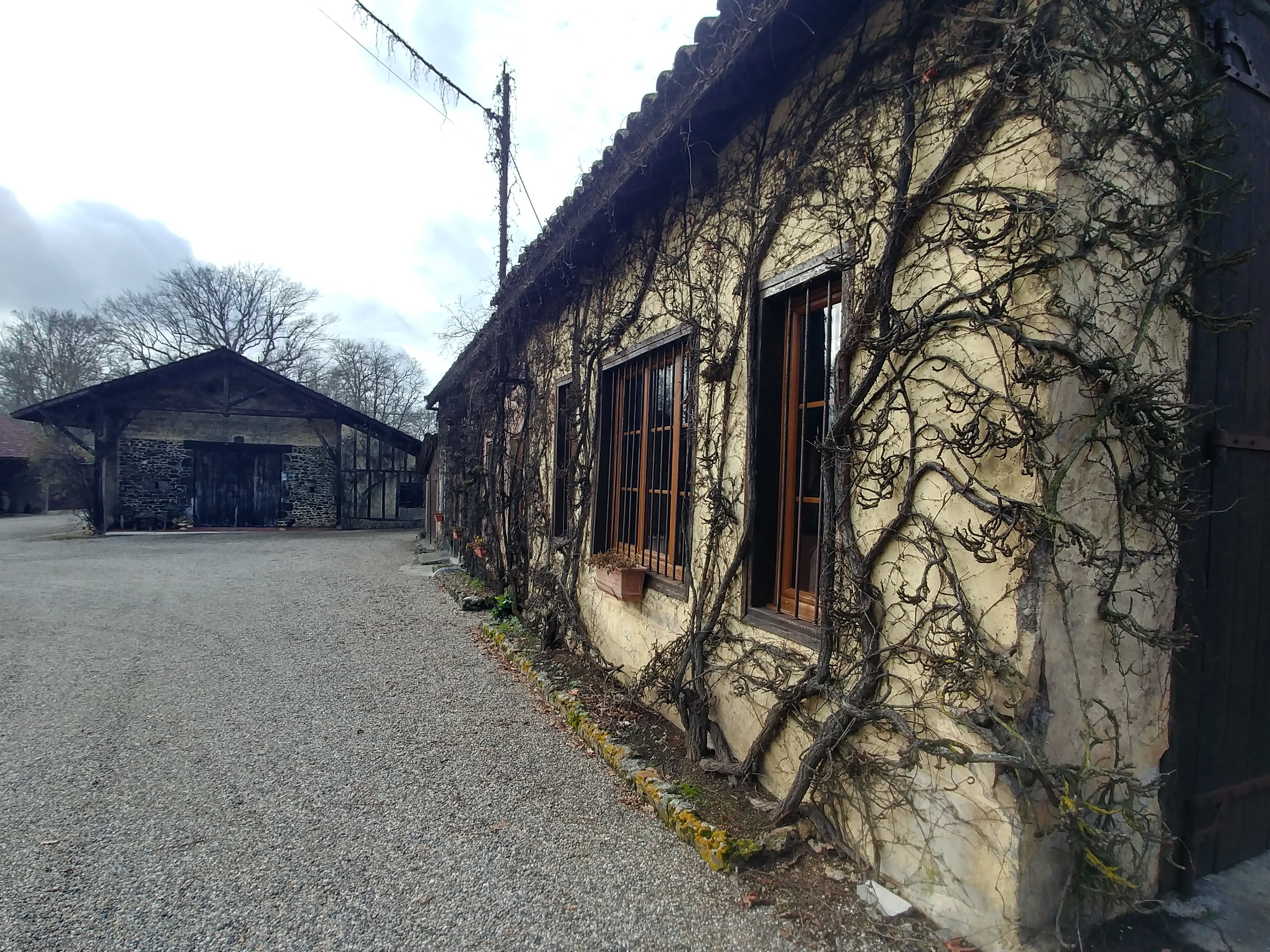 Domaines Laberdolive — photo 3