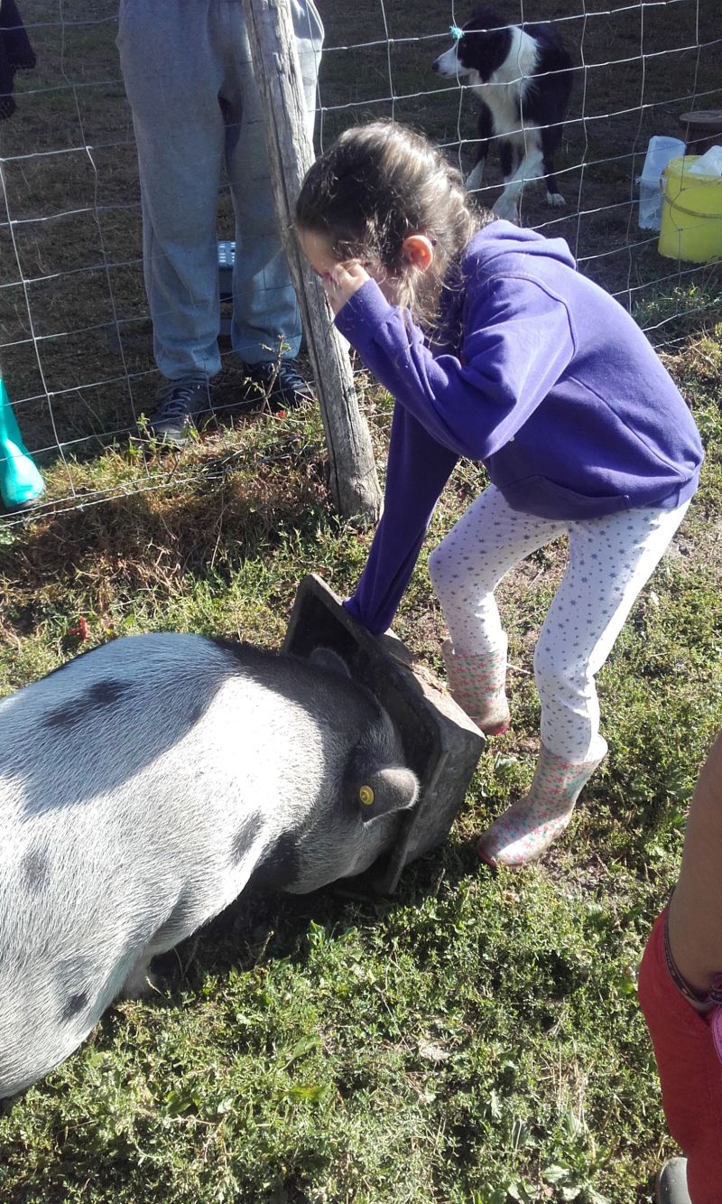 Les sabots de laine à Saint-Hilaire-Bonneval, Saint-Hilaire-Bonneval - photo 3