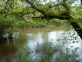 Randonnée à St Hilaire Bonneval 'Circuit du Treuil'