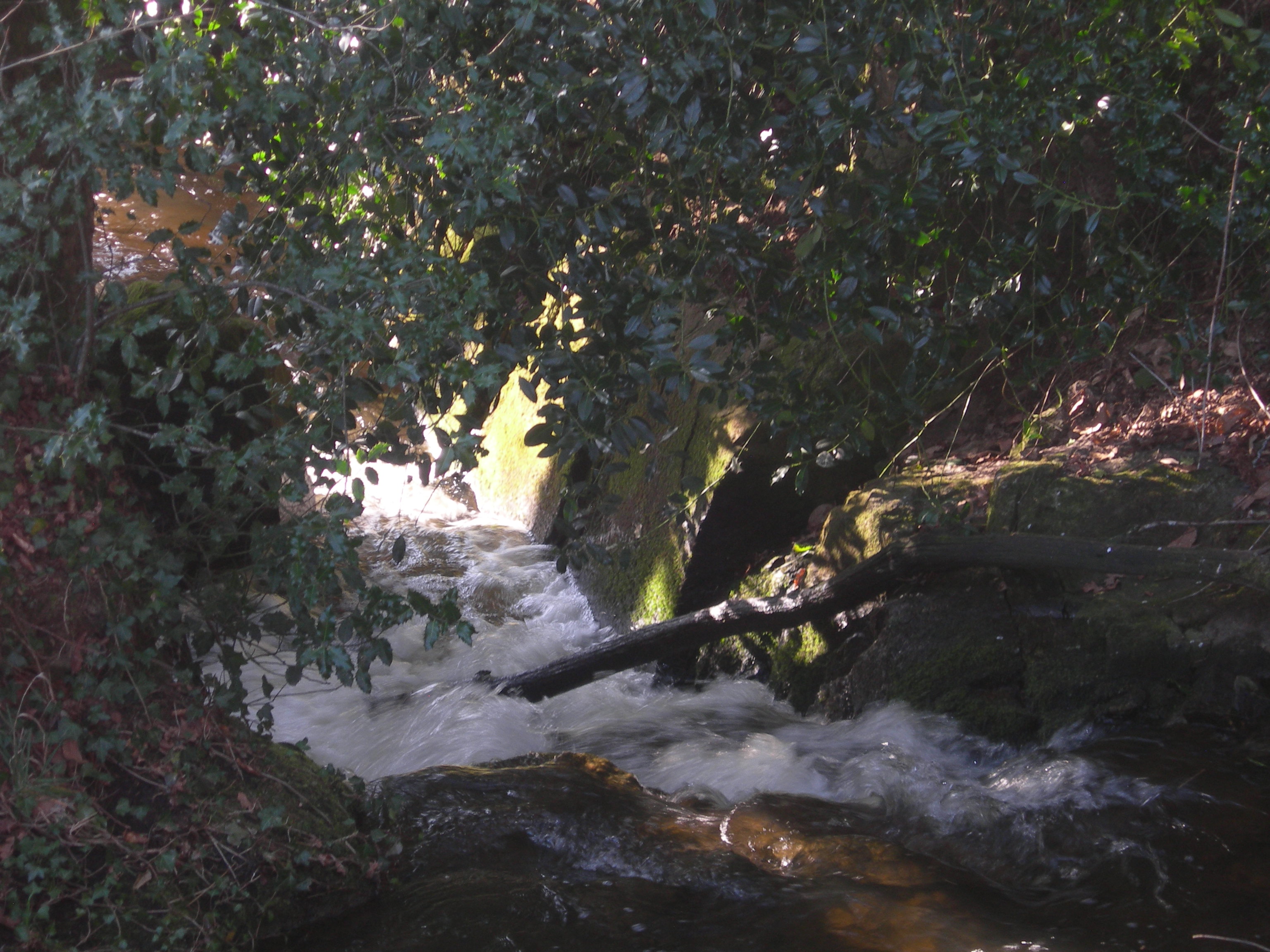 Etang de pêche 'Piquette' La Porcherie, La Porcherie - photo 2