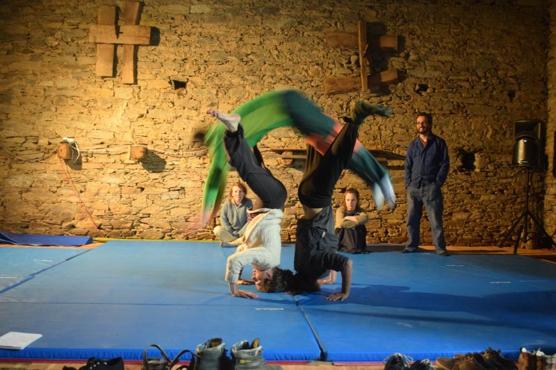 Stage de cirque