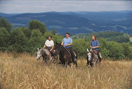 Ferme équestre des Ribières
