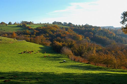 Ferme équestre des Ribières, Saint-Genest-sur-Roselle