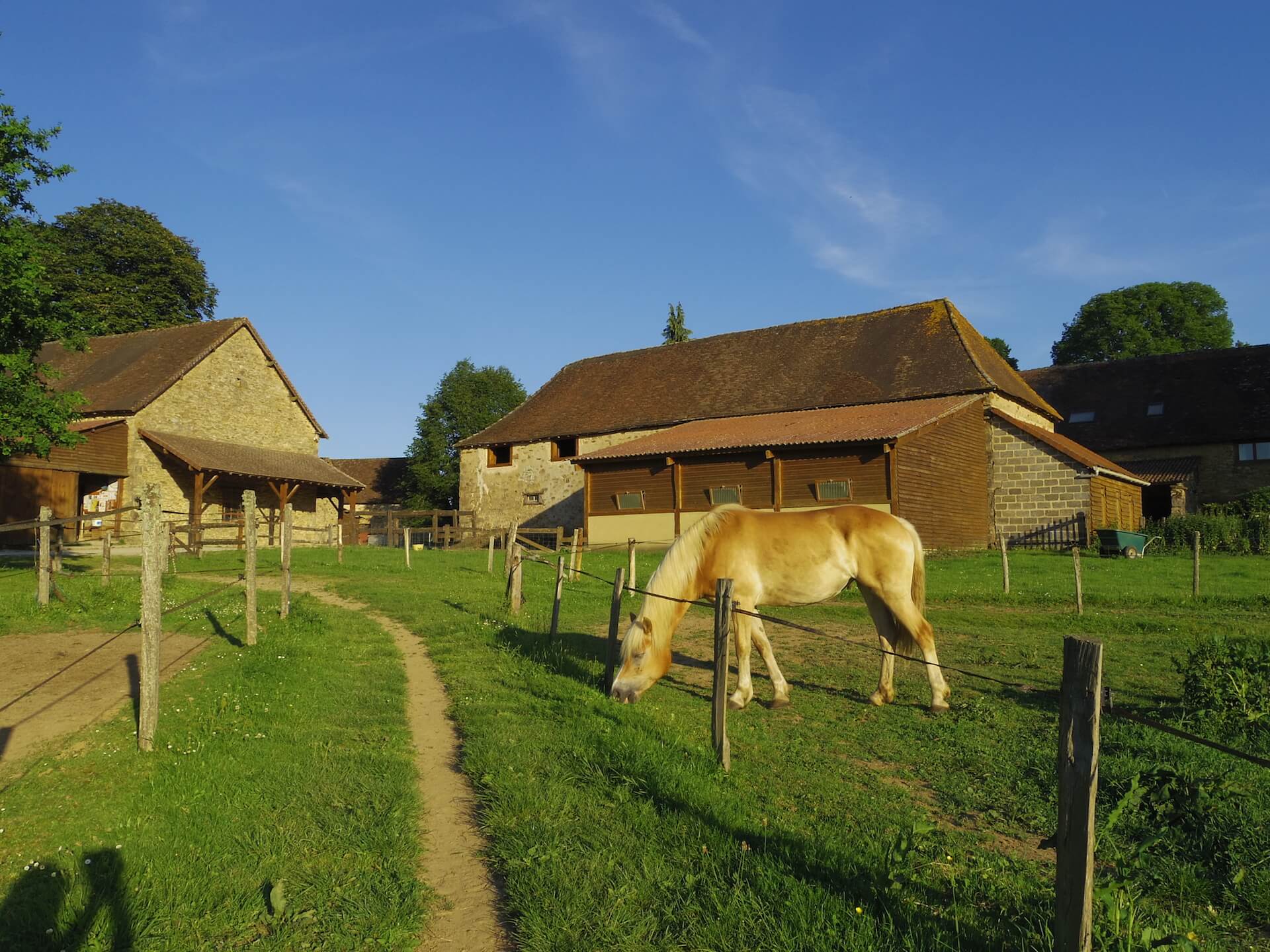 Poney club Equi-libre
