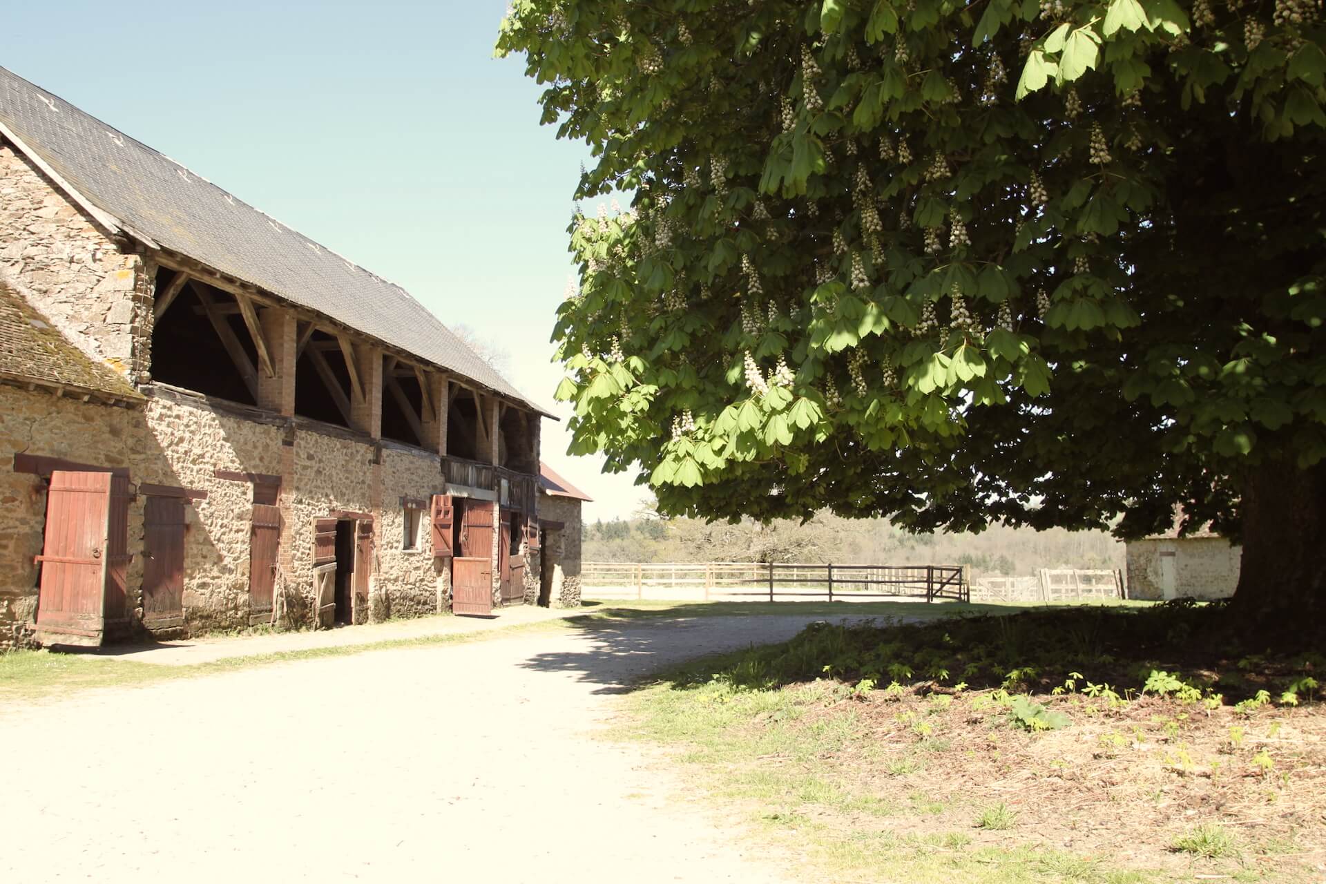 Poney club Equi-libre, Château-Chervix - photo 2