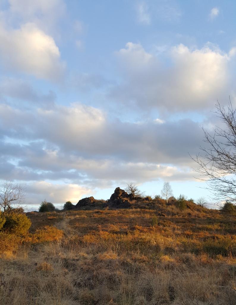 Sentier d'interprétation Landes du Cluzeau et de la Flotte - photo 3