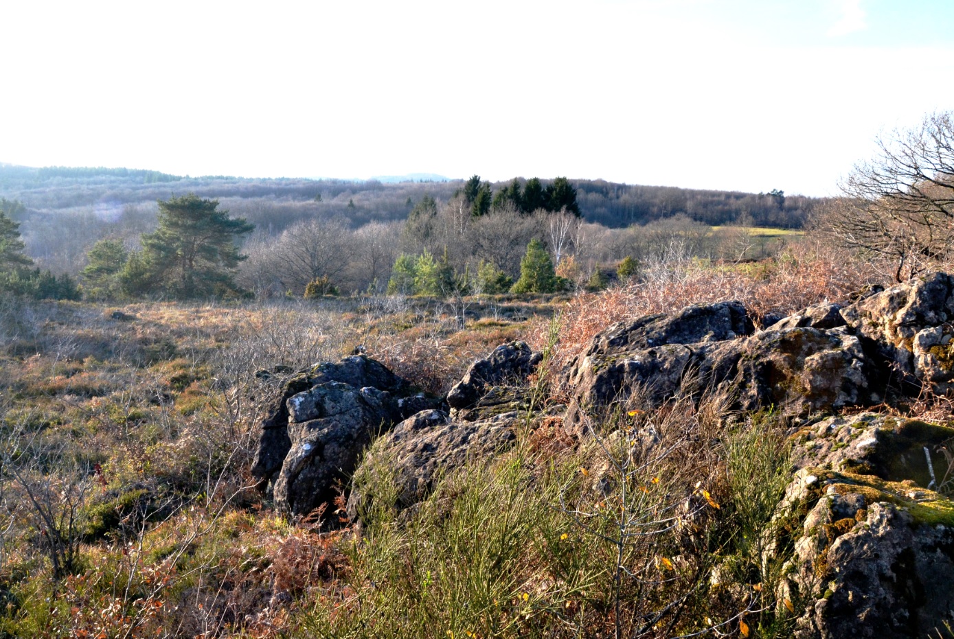 Boucle cyclotouristique Cluzeau-Fayat, Magnac-Bourg