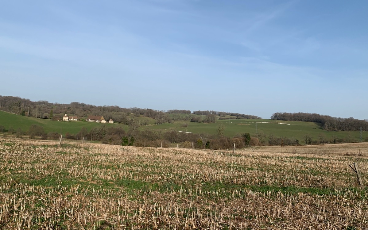 Boucle cyclotouristique La forêt de Meuzac