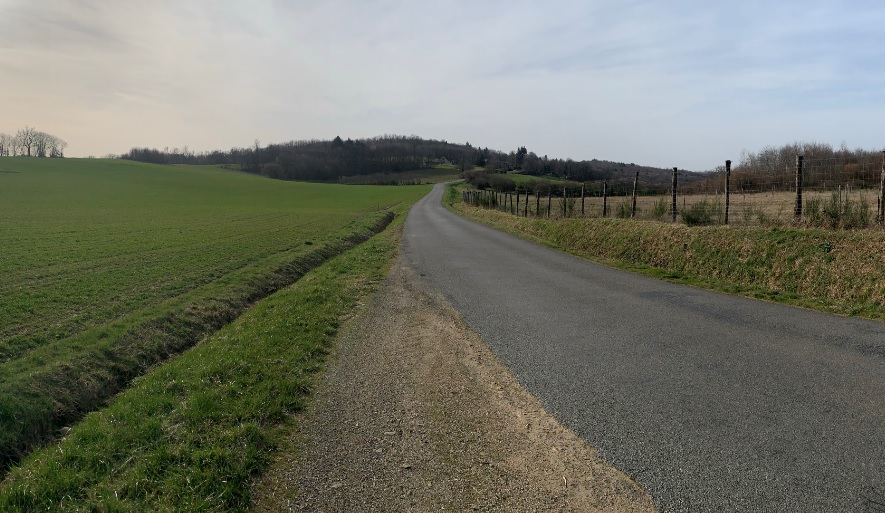 Boucle cyclotouristique La forêt de Meuzac, Magnac-Bourg - photo 3