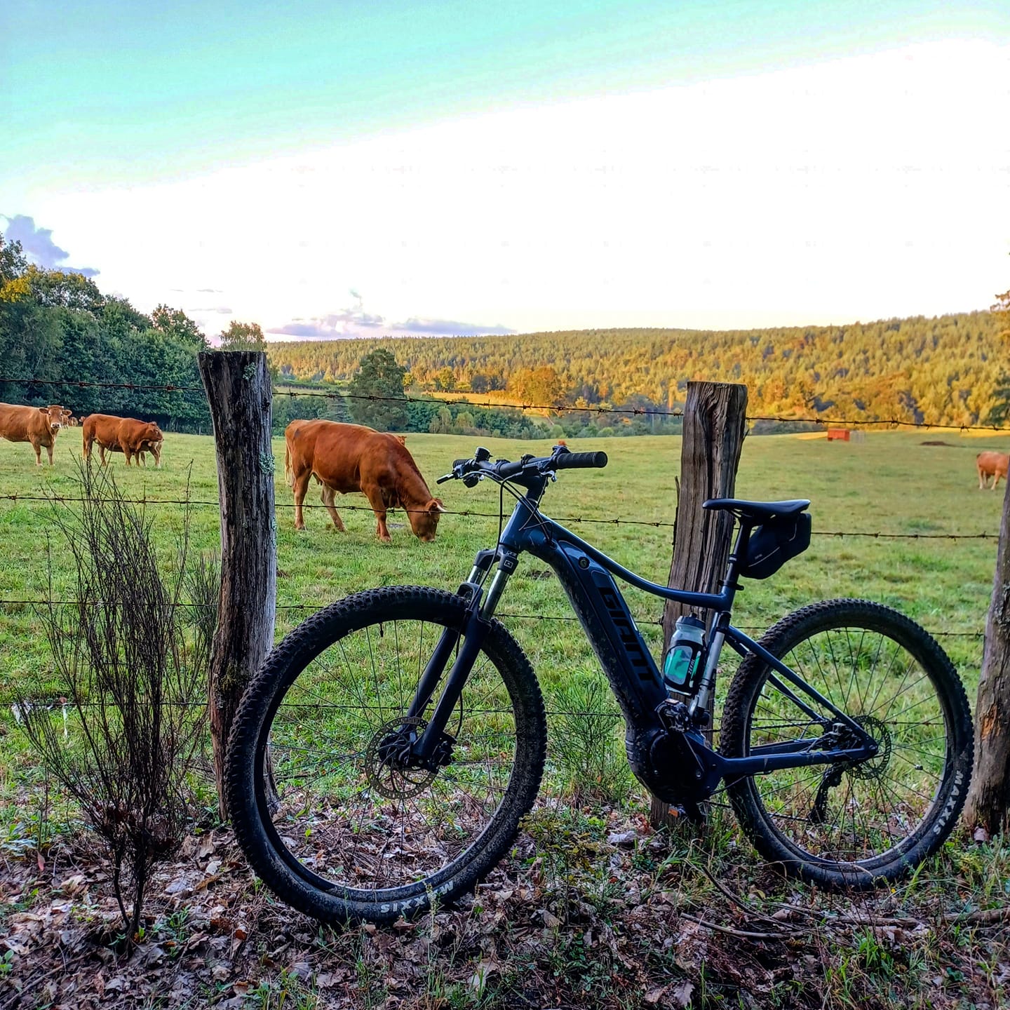 Boucle cyclotouristique "Musée Cécile Sabourdy", Magnac-Bourg