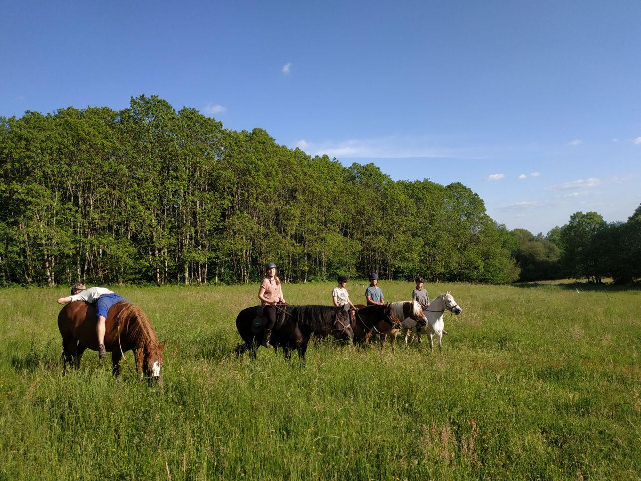 Centre équestre "Les Chevaux de Chamousseau" à Château-Chervix, Château-Chervix