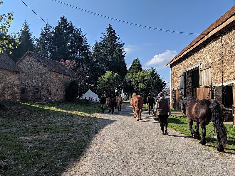 Centre équestre "Les Chevaux de Chamousseau" à Château-Chervix, Château-Chervix - photo 5
