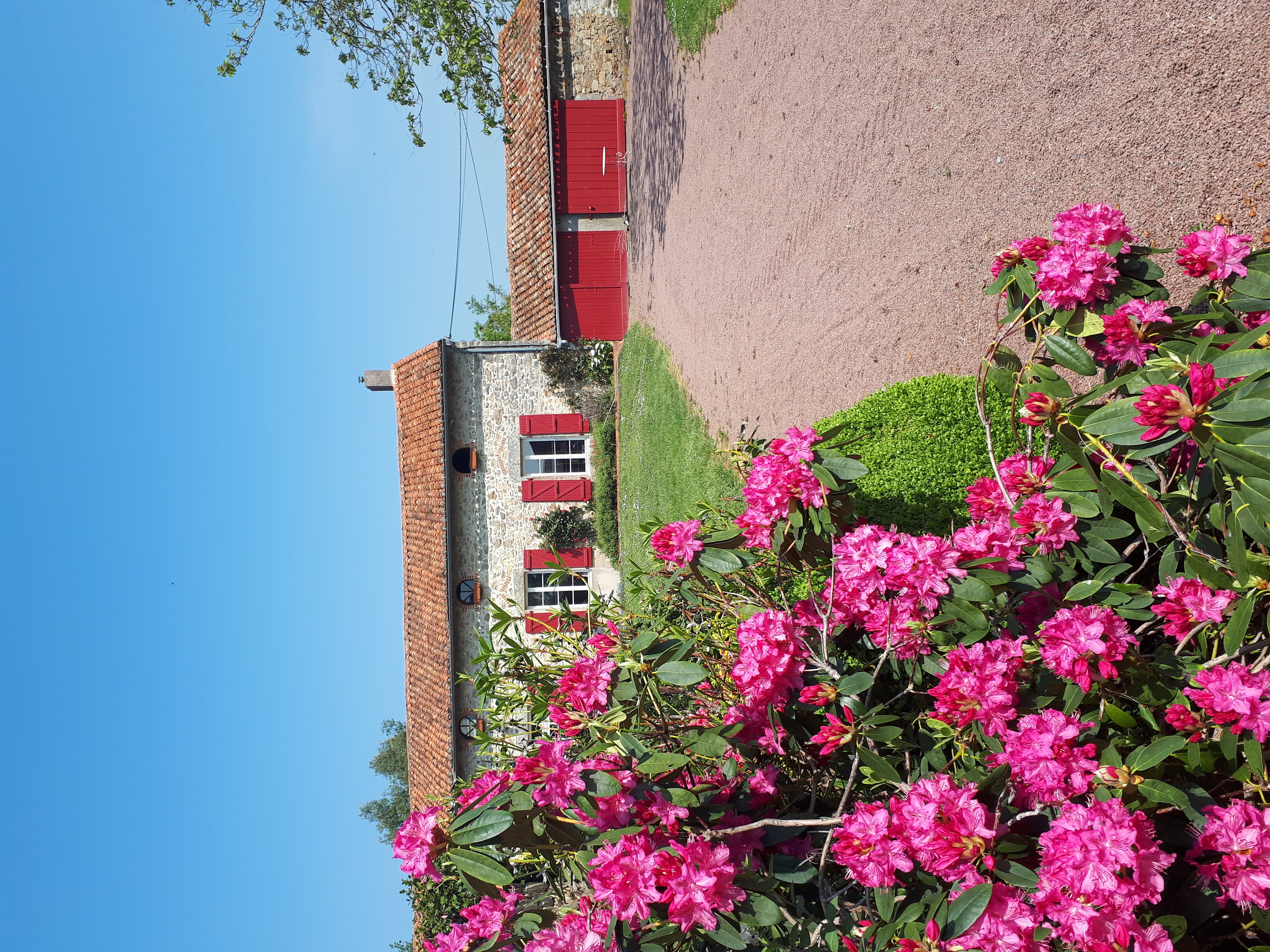 Les Guyonnières, Mauléon - photo 12