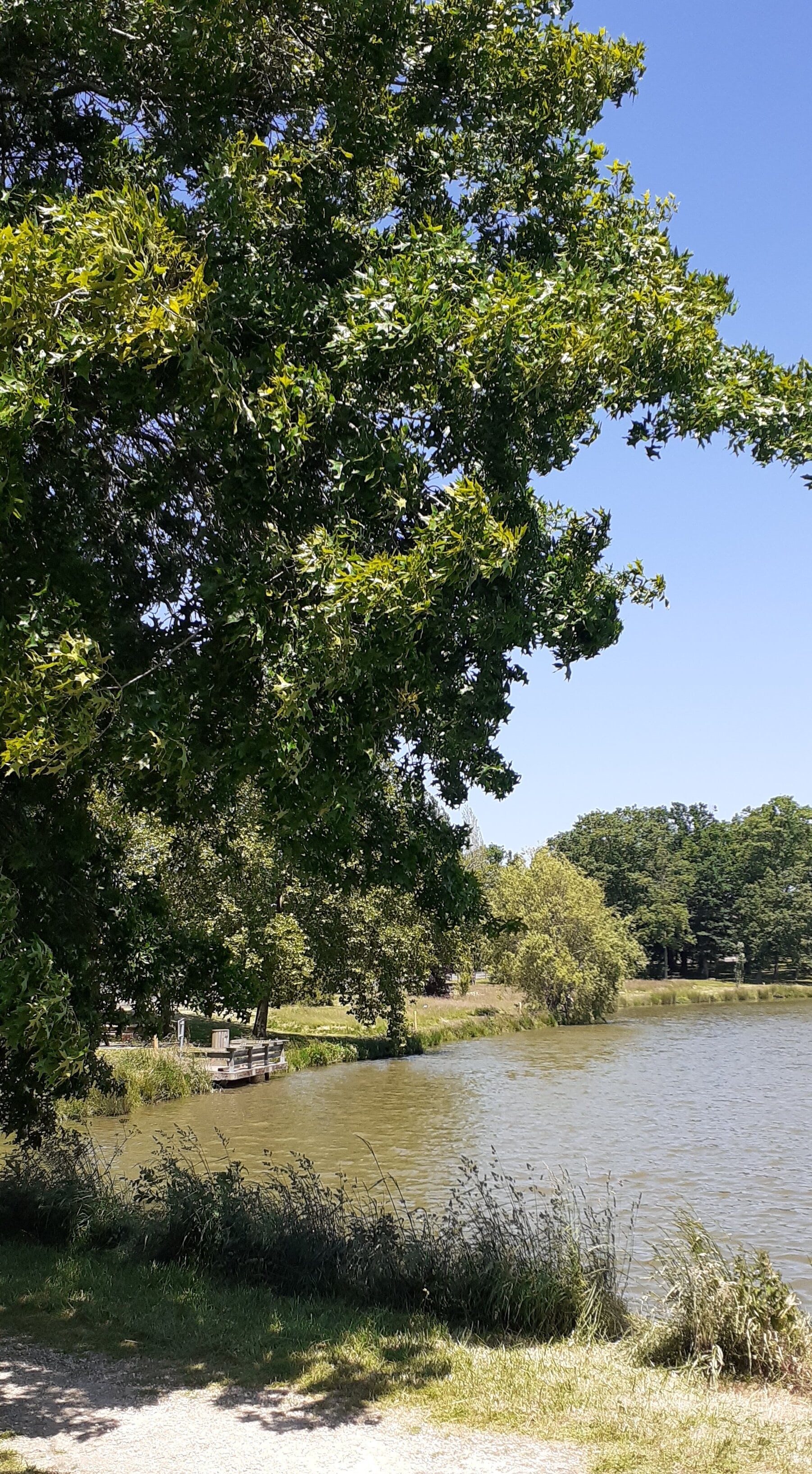 Plan d'eau Saint-Aubin-Le-Cloud, Saint-Aubin-le-Cloud - photo 5