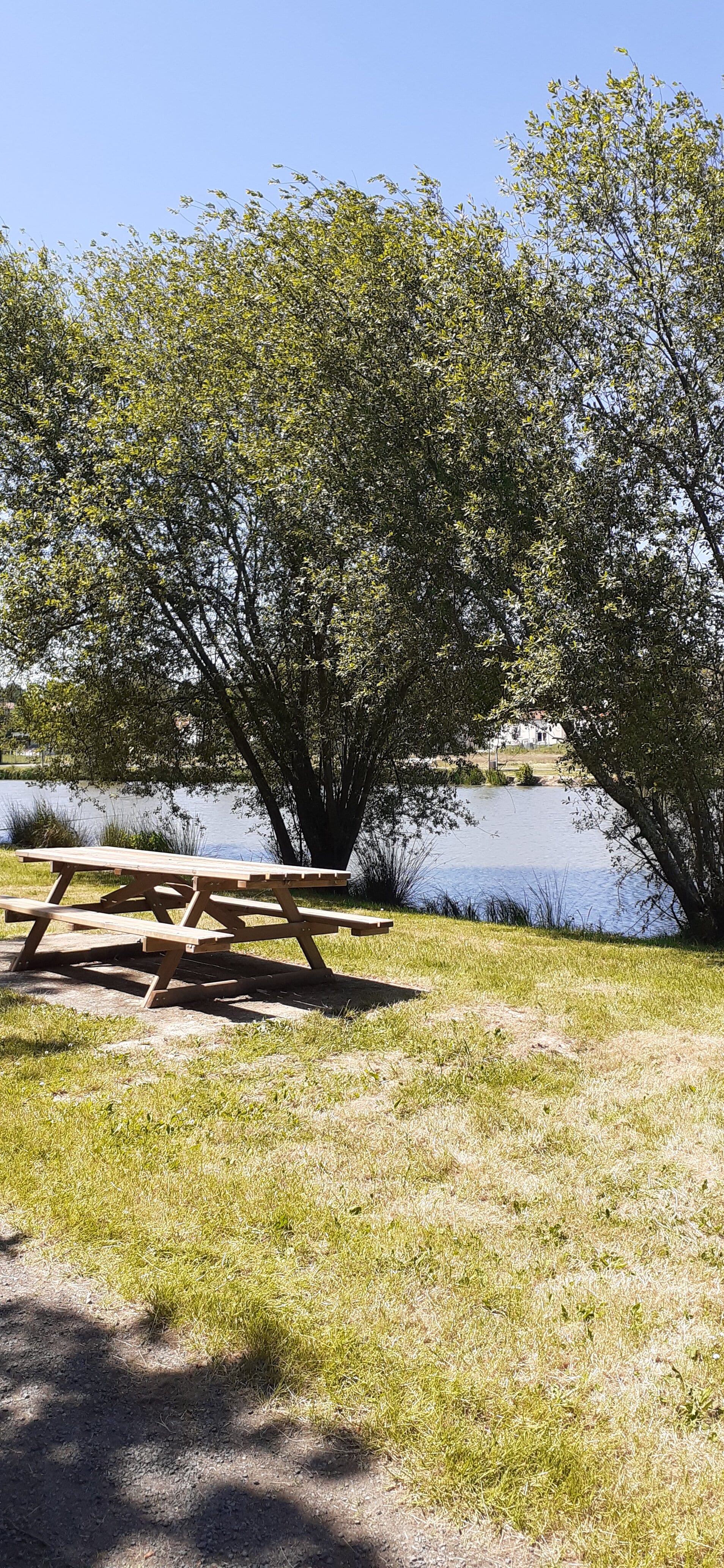 Plan d'eau Communal d'Azay sur Thouet - photo 3