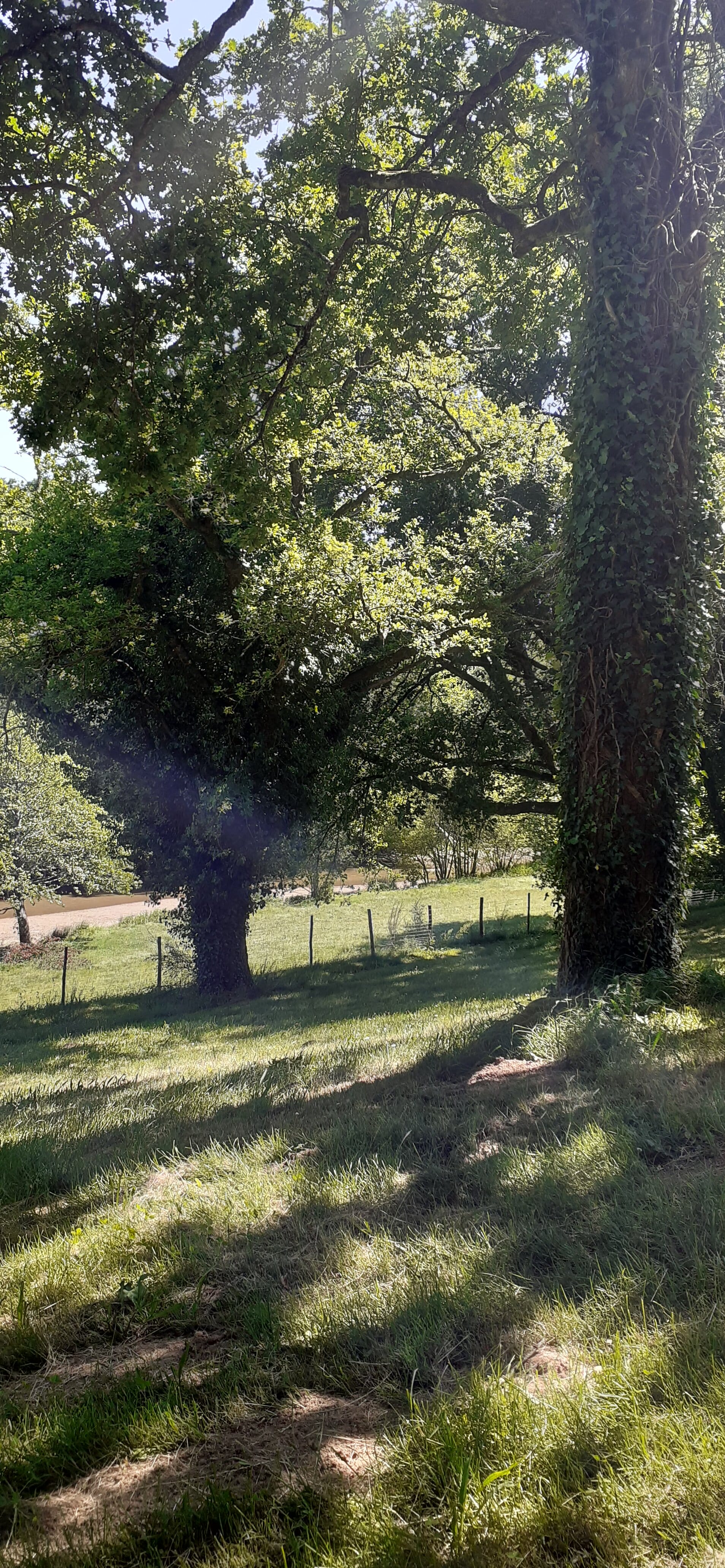 Plan d'eau la Vernière - photo 2