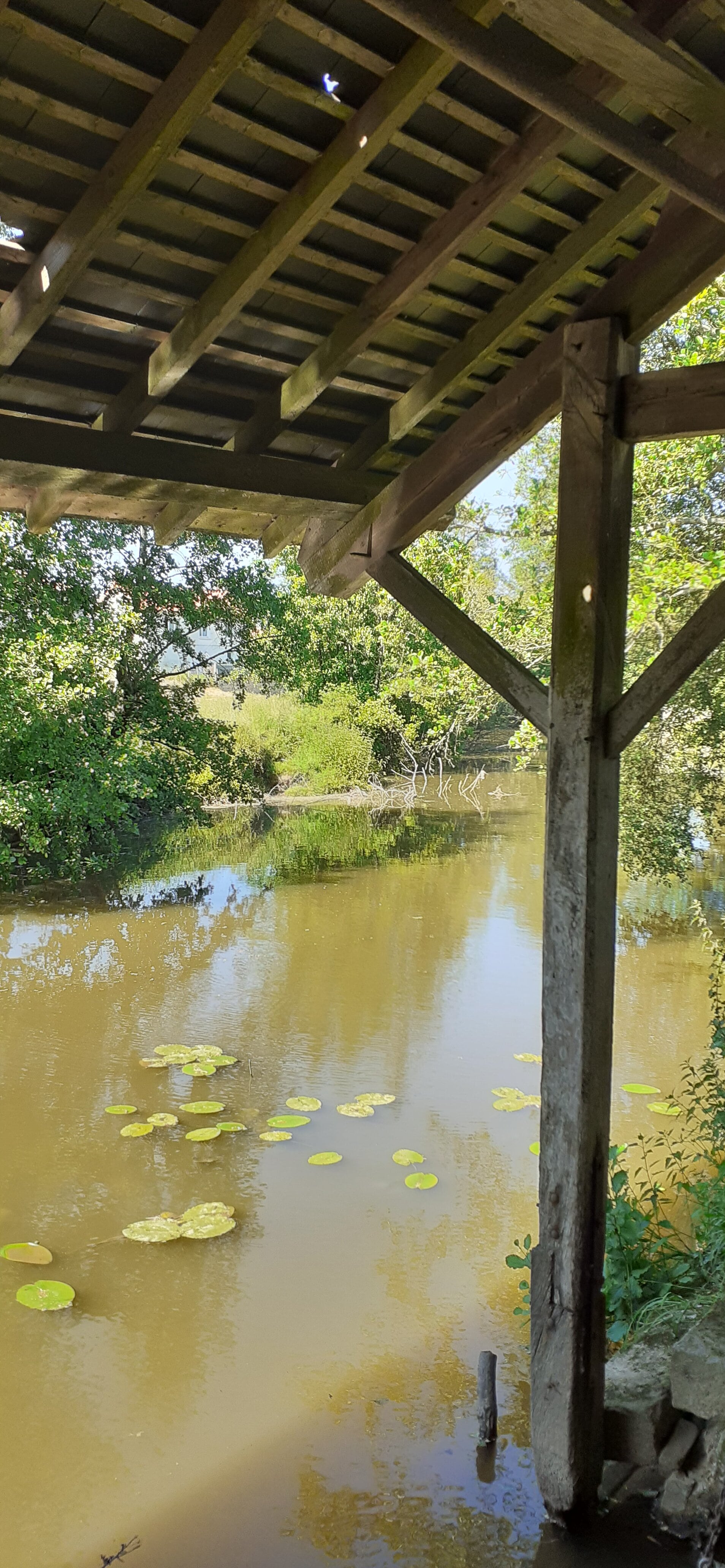LE VIEUX LAVOIR, Parthenay - photo 2