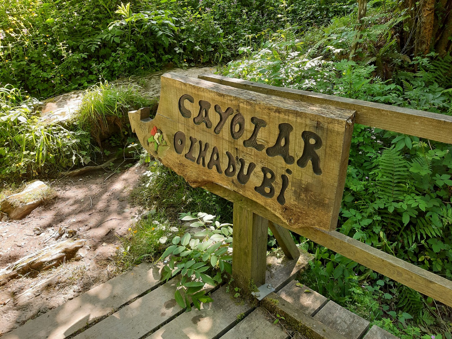 Olhadübi, par la passerelle d'Holzarte, Larrau