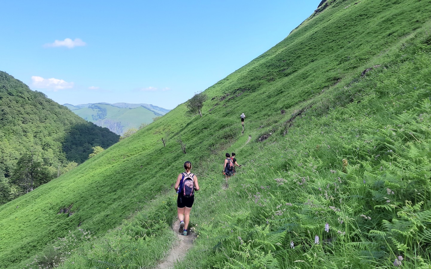 Olhadübi, par la passerelle d'Holzarte, Larrau - photo 2