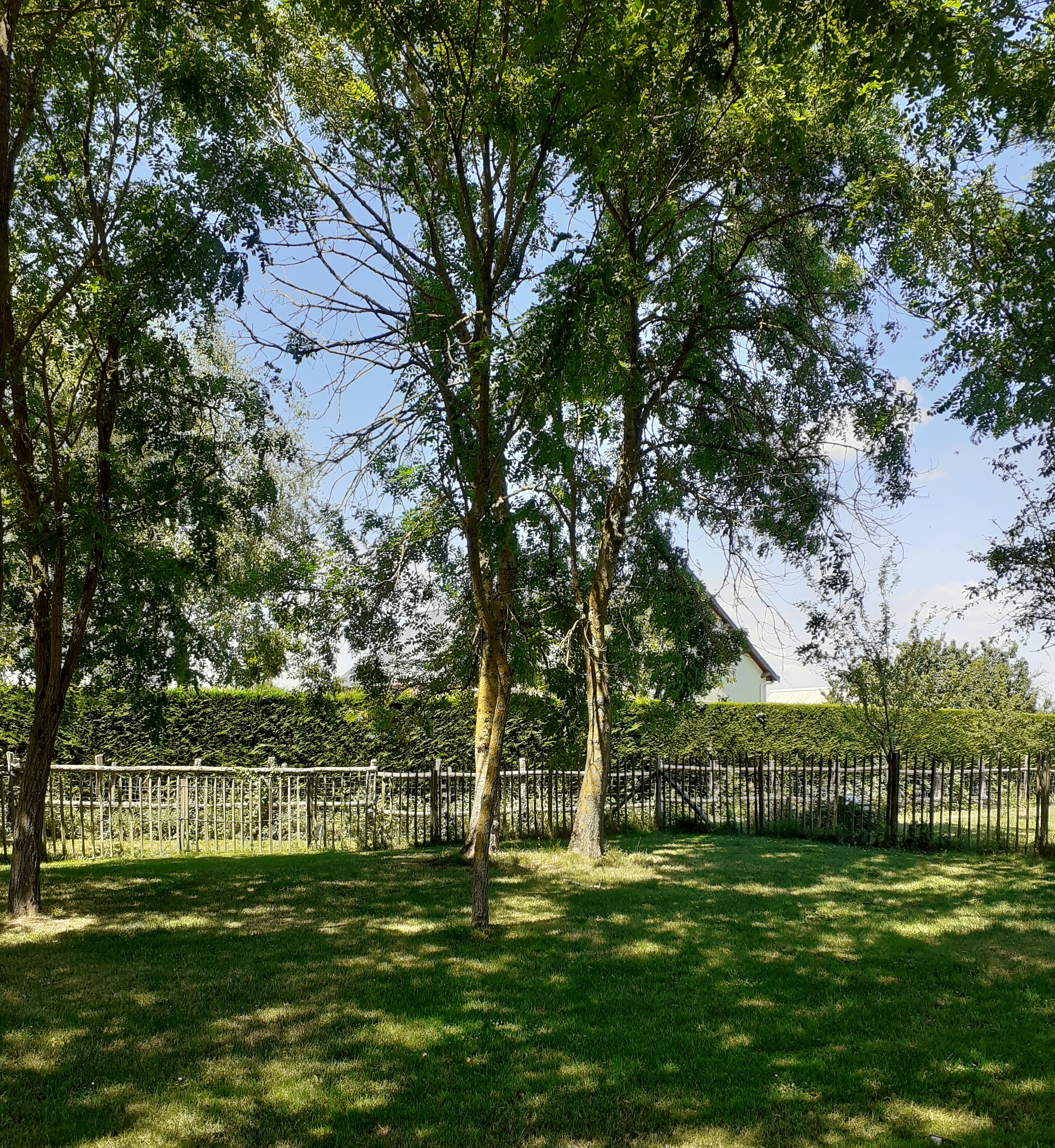 Aire de pique-nique de La Ferrière-en-Parthenay - photo 2
